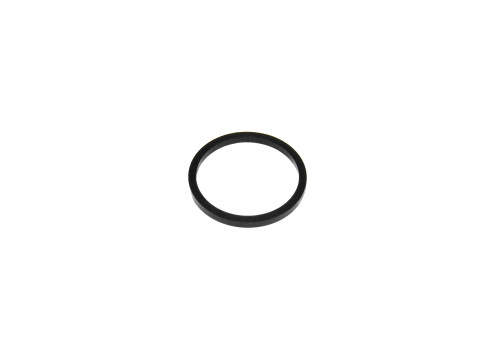 Piston Seal diameter 38 For Accossato Radial Brake Calipers